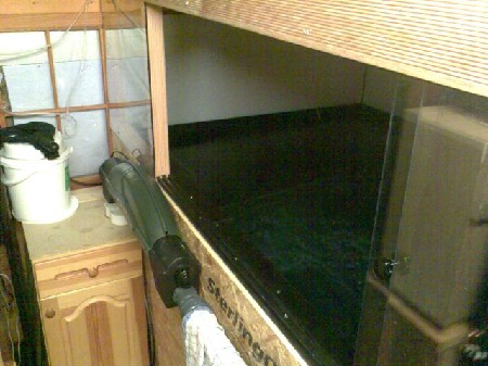 Koi , Innenh&auml;lterung , PE-Becken